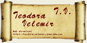 Teodora Velemir vizit kartica